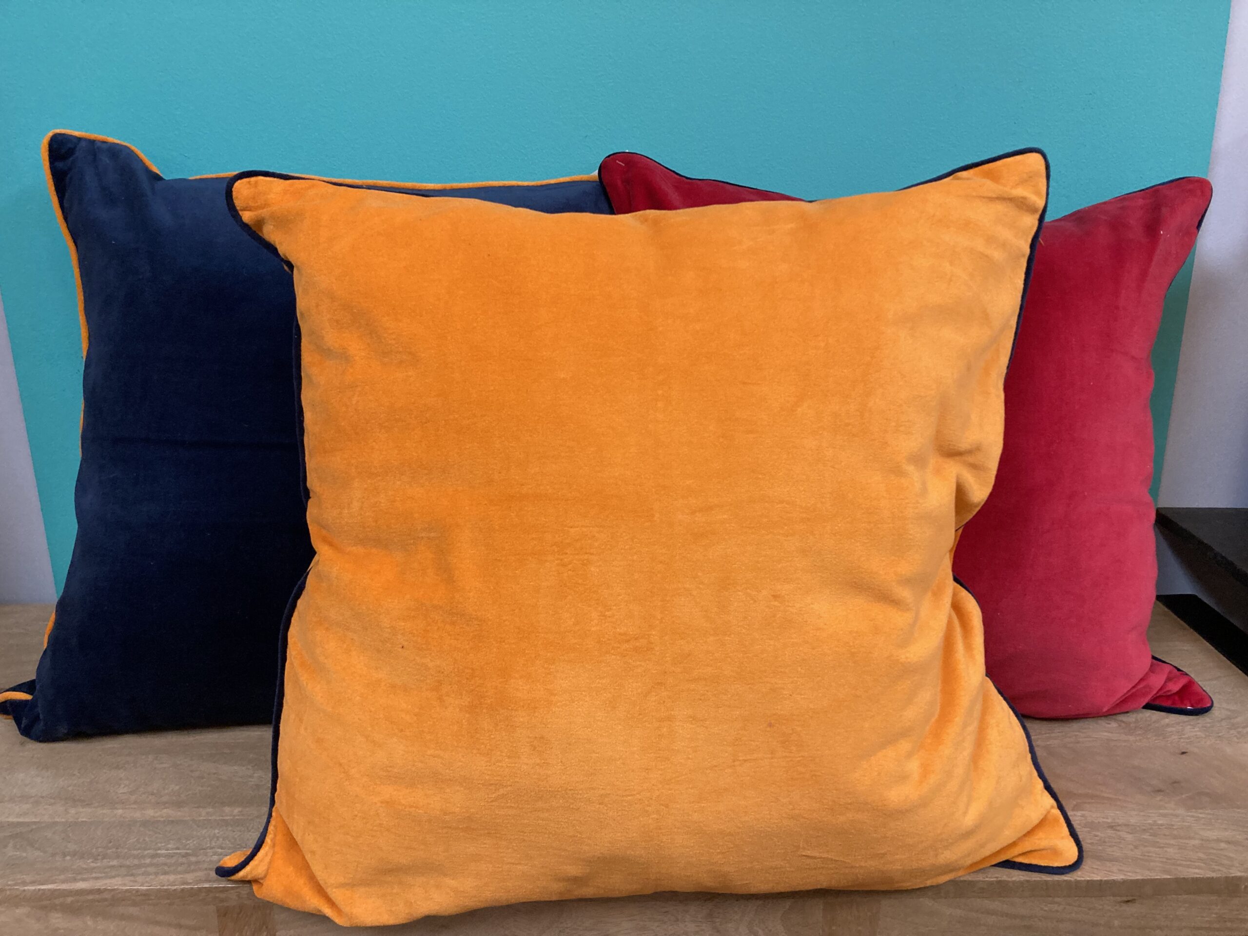 PILLOW – VELVET WITH CONTRAST PIPING – 24″